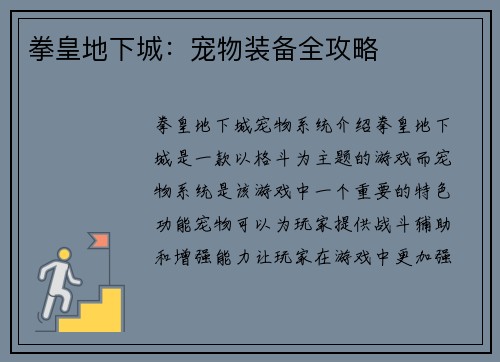 拳皇地下城：宠物装备全攻略
